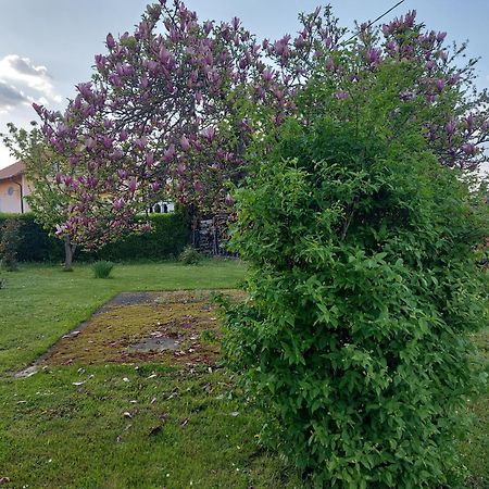 A House, Free Parking, Sauna Koprivnica Eksteriør bilde